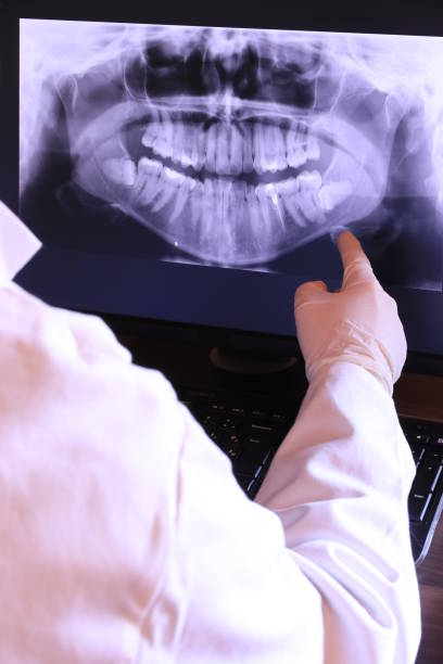 Best Emergency X-Rays and Diagnostics in Tamaqua, PA